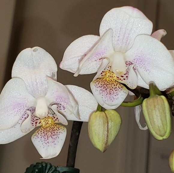 My items need a home! - Picture 4 of 4